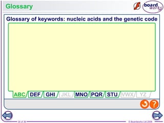 Nucleic Acids and the Genetic Code boardworks AS Level Biology | PPT