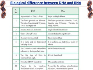 Biological difference between DNA and RNA
 