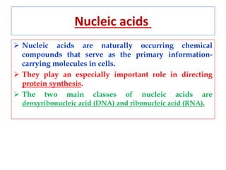 Nucleic acids
 Nucleic acids are naturally occurring chemical
compounds that serve as the primary information-
carrying molecules in cells.
 They play an especially important role in directing
protein synthesis.
 The two main classes of nucleic acids are
deoxyribonucleic acid (DNA) and ribonucleic acid (RNA).
 