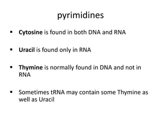 pyrimidines
 Cytosine is found in both DNA and RNA
 Uracil is found only in RNA
 Thymine is normally found in DNA and not in
RNA
 Sometimes tRNA may contain some Thymine as
well as Uracil
 