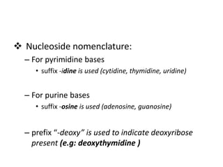  Nucleoside nomenclature:
– For pyrimidine bases
• suffix -idine is used (cytidine, thymidine, uridine)
– For purine bases
• suffix -osine is used (adenosine, guanosine)
– prefix “-deoxy” is used to indicate deoxyribose
present (e.g: deoxythymidine )
 