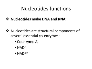 Nucleotides functions
 Nucleotides make DNA and RNA
 Nucleotides are structural components of
several essential co-enzymes:
• Coenzyme A
• NAD+
• NADP+
 