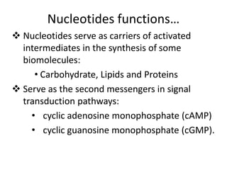 Nucleotides functions…
 Nucleotides serve as carriers of activated
intermediates in the synthesis of some
biomolecules:
• Carbohydrate, Lipids and Proteins
 Serve as the second messengers in signal
transduction pathways:
• cyclic adenosine monophosphate (cAMP)
• cyclic guanosine monophosphate (cGMP).
 