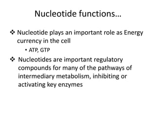 Nucleotide functions…
 Nucleotide plays an important role as Energy
currency in the cell
• ATP, GTP
 Nucleotides are important regulatory
compounds for many of the pathways of
intermediary metabolism, inhibiting or
activating key enzymes
 