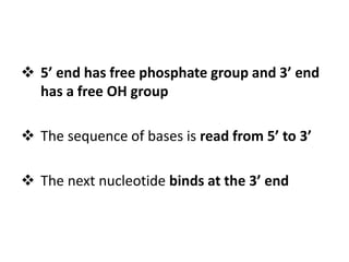  5’ end has free phosphate group and 3’ end
has a free OH group
 The sequence of bases is read from 5’ to 3’
 The next nucleotide binds at the 3’ end
 
