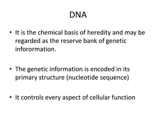 DNA
• It is the chemical basis of heredity and may be
regarded as the reserve bank of genetic
inforormation.
• The genetic information is encoded in its
primary structure (nucleotide sequence)
• It controls every aspect of cellular function
 