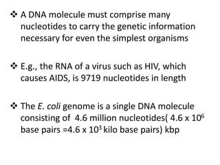  A DNA molecule must comprise many
nucleotides to carry the genetic information
necessary for even the simplest organisms
 E.g., the RNA of a virus such as HIV, which
causes AIDS, is 9719 nucleotides in length
 The E. coli genome is a single DNA molecule
consisting of 4.6 million nucleotides( 4.6 x 106
base pairs =4.6 x 103 kilo base pairs) kbp
 