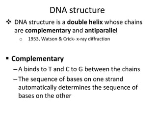 DNA structure
 DNA structure is a double helix whose chains
are complementary and antiparallel
o 1953, Watson & Crick- x-ray diffraction
 Complementary
–A binds to T and C to G between the chains
–The sequence of bases on one strand
automatically determines the sequence of
bases on the other
 