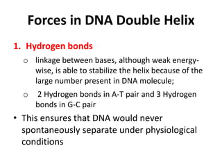 Forces in DNA Double Helix
1. Hydrogen bonds
o linkage between bases, although weak energy-
wise, is able to stabilize the helix because of the
large number present in DNA molecule;
o 2 Hydrogen bonds in A-T pair and 3 Hydrogen
bonds in G-C pair
• This ensures that DNA would never
spontaneously separate under physiological
conditions
 
