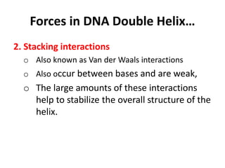 Forces in DNA Double Helix…
2. Stacking interactions
o Also known as Van der Waals interactions
o Also occur between bases and are weak,
o The large amounts of these interactions
help to stabilize the overall structure of the
helix.
 