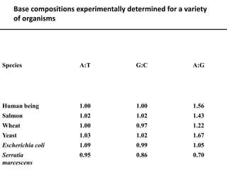 Base compositions experimentally determined for a variety
of organisms
Species A:T G:C A:G
Human being 1.00 1.00 1.56
Salmon 1.02 1.02 1.43
Wheat 1.00 0.97 1.22
Yeast 1.03 1.02 1.67
Escherichia coli 1.09 0.99 1.05
Serratia
marcescens
0.95 0.86 0.70
 