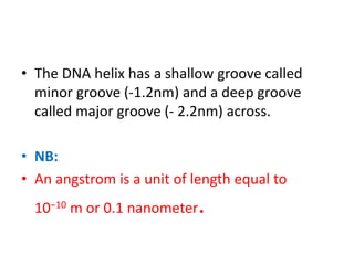 • The DNA helix has a shallow groove called
minor groove (-1.2nm) and a deep groove
called major groove (- 2.2nm) across.
• NB:
• An angstrom is a unit of length equal to
10−10 m or 0.1 nanometer.
 