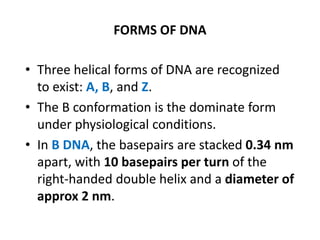 FORMS OF DNA
• Three helical forms of DNA are recognized
to exist: A, B, and Z.
• The B conformation is the dominate form
under physiological conditions.
• In B DNA, the basepairs are stacked 0.34 nm
apart, with 10 basepairs per turn of the
right-handed double helix and a diameter of
approx 2 nm.
 