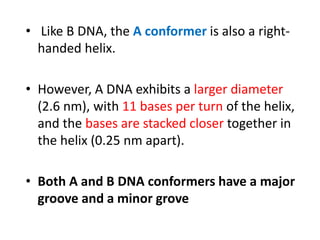 • Like B DNA, the A conformer is also a right-
handed helix.
• However, A DNA exhibits a larger diameter
(2.6 nm), with 11 bases per turn of the helix,
and the bases are stacked closer together in
the helix (0.25 nm apart).
• Both A and B DNA conformers have a major
groove and a minor grove
 