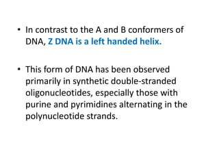 • In contrast to the A and B conformers of
DNA, Z DNA is a left handed helix.
• This form of DNA has been observed
primarily in synthetic double-stranded
oligonucleotides, especially those with
purine and pyrimidines alternating in the
polynucleotide strands.
 
