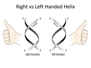 Right vs Left Handed Helix
 