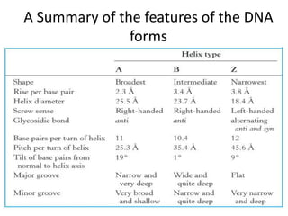 A Summary of the features of the DNA
forms
 
