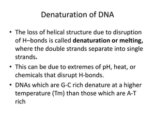 Denaturation of DNA
• The loss of helical structure due to disruption
of H–bonds is called denaturation or melting,
where the double strands separate into single
strands.
• This can be due to extremes of pH, heat, or
chemicals that disrupt H-bonds.
• DNAs which are G-C rich denature at a higher
temperature (Tm) than those which are A-T
rich
 