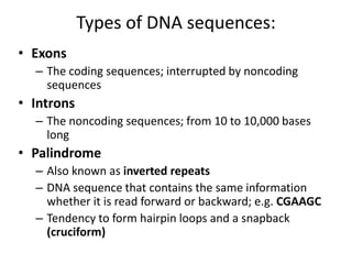 Types of DNA sequences:
• Exons
– The coding sequences; interrupted by noncoding
sequences
• Introns
– The noncoding sequences; from 10 to 10,000 bases
long
• Palindrome
– Also known as inverted repeats
– DNA sequence that contains the same information
whether it is read forward or backward; e.g. CGAAGC
– Tendency to form hairpin loops and a snapback
(cruciform)
 