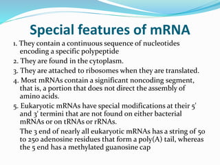 Special features of mRNA
1. They contain a continuous sequence of nucleotides
encoding a specific polypeptide
2. They are found in the cytoplasm.
3. They are attached to ribosomes when they are translated.
4. Most mRNAs contain a significant noncoding segment,
that is, a portion that does not direct the assembly of
amino acids.
5. Eukaryotic mRNAs have special modifications at their 5'
and 3‘ termini that are not found on either bacterial
mRNAs or on tRNAs or rRNAs.
The 3 end of nearly all eukaryotic mRNAs has a string of 50
to 250 adenosine residues that form a poly(A) tail, whereas
the 5 end has a methylated guanosine cap
 