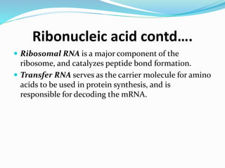 Ribonucleic acid contd….
 Ribosomal RNA is a major component of the
ribosome, and catalyzes peptide bond formation.
 Transfer RNA serves as the carrier molecule for amino
acids to be used in protein synthesis, and is
responsible for decoding the mRNA.
 