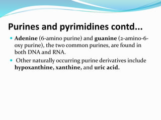 Purines and pyrimidines contd...
 Adenine (6-amino purine) and guanine (2-amino-6-
oxy purine), the two common purines, are found in
both DNA and RNA.
 Other naturally occurring purine derivatives include
hypoxanthine, xanthine, and uric acid.
 