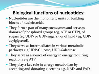 Biological functions of nucleotides:
 Nucleotides are the monomeric units or building
blocks of nucleic acids.
 They form a part of many coenzymes and serve as
donors of phosphoryl groups (eg, ATP or GTP), of
sugars (eg,UDP- or GDP-sugars), or of lipid (eg, CDP-
acylglycerol).
 They serve as intermediates in various metabolic
pathways e.g UDP-Glucose, UDP-Galactose
 They serve as a source of energy in energy requiring
reactions e.g ATP
 They play a key role in energy metabolism by
accepting and donating electrons e.g. NAD and FAD
 