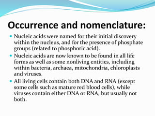 Occurrence and nomenclature:
 Nucleic acids were named for their initial discovery
within the nucleus, and for the presence of phosphate
groups (related to phosphoric acid).
 Nucleic acids are now known to be found in all life
forms as well as some nonliving entities, including
within bacteria, archaea, mitochondria, chloroplasts
and viruses.
 All living cells contain both DNA and RNA (except
some cells such as mature red blood cells), while
viruses contain either DNA or RNA, but usually not
both.
 
