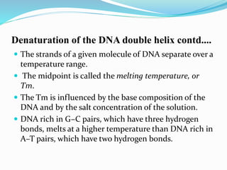 Denaturation of the DNA double helix contd....
 The strands of a given molecule of DNA separate over a
temperature range.
 The midpoint is called the melting temperature, or
Tm.
 The Tm is influenced by the base composition of the
DNA and by the salt concentration of the solution.
 DNA rich in G–C pairs, which have three hydrogen
bonds, melts at a higher temperature than DNA rich in
A–T pairs, which have two hydrogen bonds.
 
