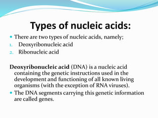 Types of nucleic acids:
 There are two types of nucleic acids, namely;
1. Deoxyribonucleic acid
2. Ribonucleic acid
Deoxyribonucleic acid (DNA) is a nucleic acid
containing the genetic instructions used in the
development and functioning of all known living
organisms (with the exception of RNA viruses).
 The DNA segments carrying this genetic information
are called genes.
 
