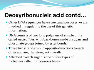 Deoxyribonucleic acid contd...
 Other DNA sequences have structural purposes, or are
involved in regulating the use of this genetic
information.
 DNA consists of two long polymers of simple units
called nucleotides, with backbones made of sugars and
phosphate groups joined by ester bonds.
 These two strands run in opposite directions to each
other and are, therefore, anti-parallel.
 Attached to each sugar is one of four types of
molecules called nitrogenous bases.
 
