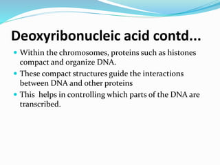 Deoxyribonucleic acid contd...
 Within the chromosomes, proteins such as histones
compact and organize DNA.
 These compact structures guide the interactions
between DNA and other proteins
 This helps in controlling which parts of the DNA are
transcribed.
 