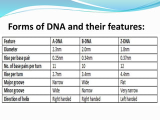 Forms of DNA and their features:
 