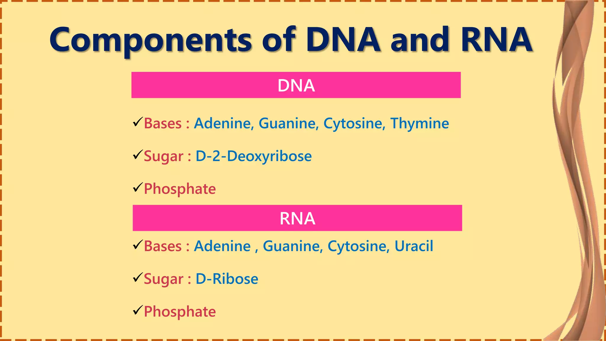 Components of DNA and RNA
RNA
DNA
Bases : Adenine, Guanine, Cytosine, Thymine
Sugar : D-2-Deoxyribose
Phosphate
Bases : Adenine , Guanine, Cytosine, Uracil
Sugar : D-Ribose
Phosphate
 