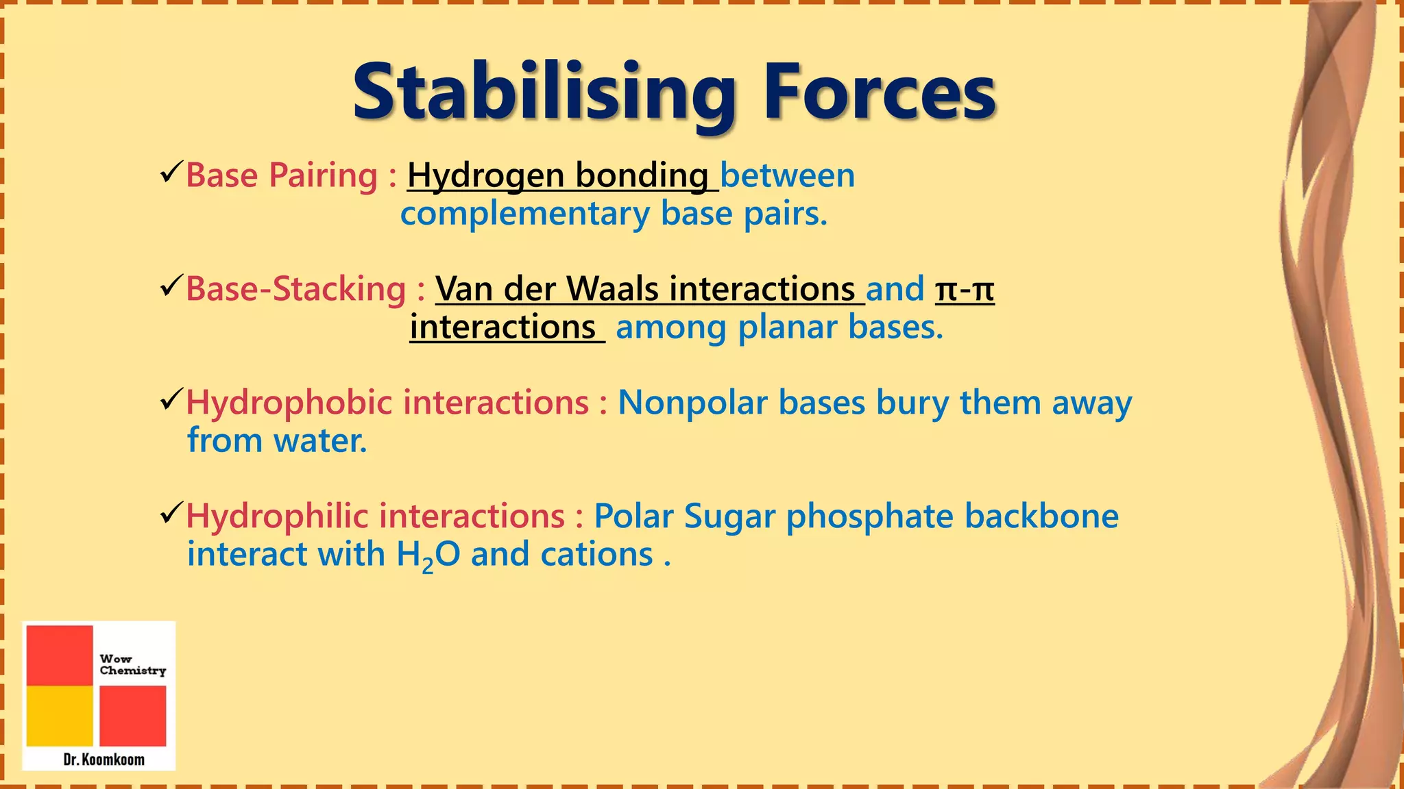 Stabilising Forces
Base Pairing : Hydrogen bonding between
complementary base pairs.
Base-Stacking : Van der Waals interactions and π-π
interactions among planar bases.
Hydrophobic interactions : Nonpolar bases bury them away
from water.
Hydrophilic interactions : Polar Sugar phosphate backbone
interact with H2O and cations .
 