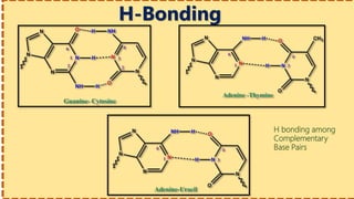 H-Bonding
H bonding among
Complementary
Base Pairs
 