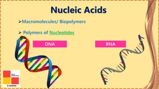 Nucleic Acids
Macromolecules/ Biopolymers
 Polymers of Nucleotides
RNADNA
 