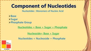 Component of Nucleotides
Base
Sugar
Phosphate Group
Nucleotides = Base + Sugar + Phosphate
Nucleoside= Base + Sugar
Nucleotides = Nucleoside + Phosphate
Nucleotides : Monomers of Nucleic Acid
 