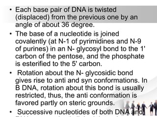 • Each base pair of DNA is twisted
(displaced) from the previous one by an
angle of about 36 degree.
• The base of a nucleotide is joined
covalently (at N-1 of pyrimidines and N-9
of purines) in an N- glycosyl bond to the 1'
carbon of the pentose, and the phosphate
is esterified to the 5' carbon.
• Rotation about the N- glycosidic bond
gives rise to anti and syn conformations. In
B DNA, rotation about this bond is usually
restricted, thus, the anti conformation is
favored partly on steric grounds.
• Successive nucleotides of both DNA and
 