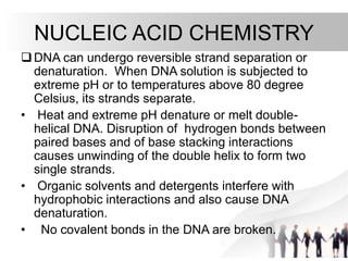 DNA can undergo reversible strand separation or
denaturation. When DNA solution is subjected to
extreme pH or to temperatures above 80 degree
Celsius, its strands separate.
• Heat and extreme pH denature or melt double-
helical DNA. Disruption of hydrogen bonds between
paired bases and of base stacking interactions
causes unwinding of the double helix to form two
single strands.
• Organic solvents and detergents interfere with
hydrophobic interactions and also cause DNA
denaturation.
• No covalent bonds in the DNA are broken.
NUCLEIC ACID CHEMISTRY
 