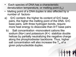 • Each species of DNA has a characteristic
denaturation temperature, or melting point (tm)
• Melting point of a DNA duplex is also affected by a
number of factors-
a) G•C content- the higher its content of G•C base
pairs, the higher the melting point of the DNA. G•C
base pairs, with three hydrogen bonds, require
more heat energy to dissociate than A•T base pairs
b) Salt concentration -monovalent cations like
sodium (Na+) and potassium (K+) stabilize double
helices by partially neutralizing the negative charge
along the phosphodiester backbone. Thus, higher
salt concentration will also increase the Tm of a
given polynucleotide duplex.
 