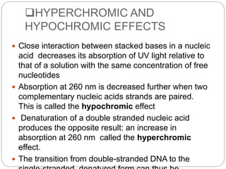 HYPERCHROMIC AND
HYPOCHROMIC EFFECTS
 Close interaction between stacked bases in a nucleic
acid decreases its absorption of UV light relative to
that of a solution with the same concentration of free
nucleotides
 Absorption at 260 nm is decreased further when two
complementary nucleic acids strands are paired.
This is called the hypochromic effect
 Denaturation of a double stranded nucleic acid
produces the opposite result: an increase in
absorption at 260 nm called the hyperchromic
effect.
 The transition from double-stranded DNA to the
 