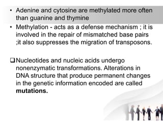 • Adenine and cytosine are methylated more often
than guanine and thymine
• Methylation - acts as a defense mechanism ; it is
involved in the repair of mismatched base pairs
;it also suppresses the migration of transposons.
Nucleotides and nucleic acids undergo
nonenzymatic transformations. Alterations in
DNA structure that produce permanent changes
in the genetic information encoded are called
mutations.
 