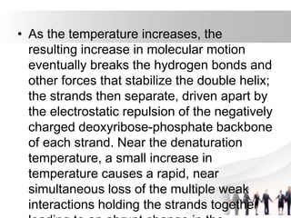 • As the temperature increases, the
resulting increase in molecular motion
eventually breaks the hydrogen bonds and
other forces that stabilize the double helix;
the strands then separate, driven apart by
the electrostatic repulsion of the negatively
charged deoxyribose-phosphate backbone
of each strand. Near the denaturation
temperature, a small increase in
temperature causes a rapid, near
simultaneous loss of the multiple weak
interactions holding the strands together
 