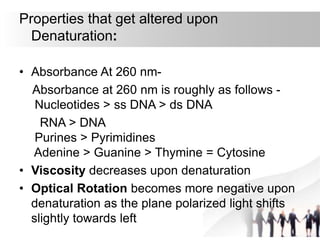 Properties that get altered upon
Denaturation:
• Absorbance At 260 nm-
Absorbance at 260 nm is roughly as follows -
Nucleotides > ss DNA > ds DNA
RNA > DNA
Purines > Pyrimidines
Adenine > Guanine > Thymine = Cytosine
• Viscosity decreases upon denaturation
• Optical Rotation becomes more negative upon
denaturation as the plane polarized light shifts
slightly towards left
 