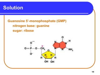 14
Solution
Guanosine 5’-monophosphate (GMP)
nitrogen base: guanine
sugar: ribose
 