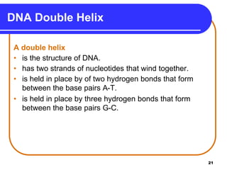 21
DNA Double Helix
A double helix
• is the structure of DNA.
• has two strands of nucleotides that wind together.
• is held in place by of two hydrogen bonds that form
between the base pairs A-T.
• is held in place by three hydrogen bonds that form
between the base pairs G-C.
 
