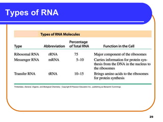 29
Types of RNA
 
