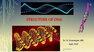 STRUCTURE OF DNA
Dr. N. Sivaranjani, MD
Asst. Prof
DR.N.SIVARANJA
NI
 