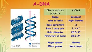 A-DNA
Characteristics
property
A-DNA
Shape Broadest
Type of helix Right handed
Base pairs/turn 11
Rise / base pair 2.3 A°
...
